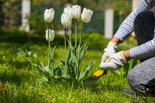 Custom landscaping projects in Chelsea