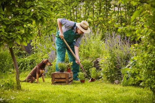 Eco-friendly garden clearance process in Chelsea