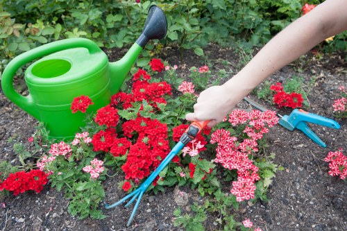 A close-up view of a well-maintained garden bed in a residential outdoor space, featuring a variety of pink and red flowering plants with dense foliage. The garden bed is bordered by dark, rich soil, and a green plastic watering can with a black spout is placed on the soil towards the left side, indicating ongoing gardening maintenance. A person's hand, visible from the wrist down, is holding a pair of blue-handled garden forks, actively tending or planting within the flowers. The background includes green hedge plants and leafy shrubs that create a lush backdrop, reinforcing the impression of a cultivated, landscaped garden area. The scene suggests a sunny day with natural lighting, typical of outdoor gardening activities in a suburban setting, possibly within the Chelsea area, aligning with professional gardening services offered by Landscapers Chelsea.