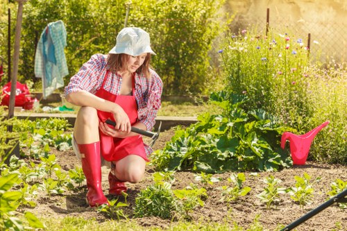 In a sunny garden, a woman wearing a white sun hat, a red apron, a checkered shirt, and red rubber boots is kneeling on the soil, tending to young vegetable plants in clearly defined, raised planting beds. The garden features lush green plants, including leafy vegetables, arranged in neat rows. To the right, a pink watering can is placed on the soil, while a garden hose is visible nearby. In the background, there are taller flowering plants and shrubs, with some laundry hanging to dry on a line, indicating a typical outdoor space. The environment appears well-maintained and vibrant, with natural light highlighting the various shades of green, brown, and colorful blooms. This outdoor space exemplifies a typical domestic garden in Chelsea, providing a welcoming setting for gardening and outdoor maintenance activities, such as planting and caring for vegetables, which ties into services offered by landscaperschelsea.co.uk.