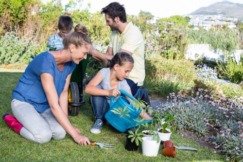 Different types of lawn mowers available in Chelsea