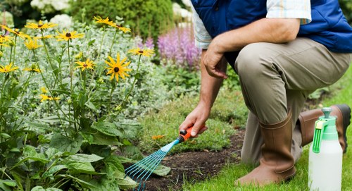 Professional gardener shaping hedges in a lush garden