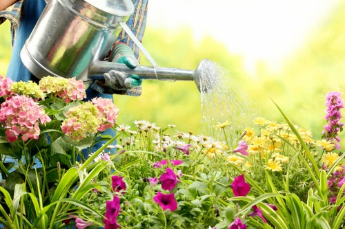 Eco-friendly grass cutting practices in Chelsea