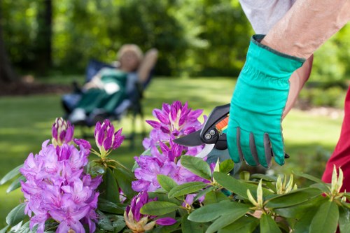 Sustainable landscaping with native plants in Chelsea