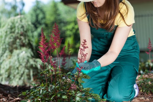 Efficient drip irrigation system