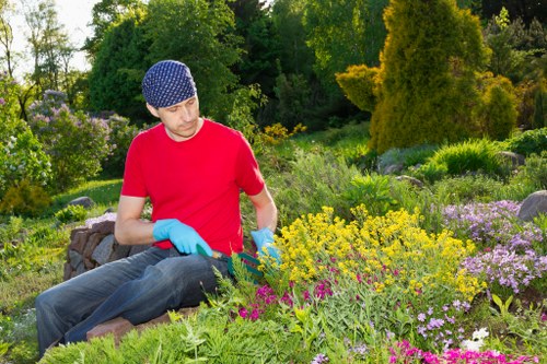 A man wearing a red t-shirt, blue gloves, and a blue patterned cap is tending to a colourful garden in an outdoor landscaped area, with various flowering plants and green foliage arranged in beds and borders. The garden features a mix of purple, yellow, and pink flowers, with lush green shrubs and trees in the background. The scene is illuminated by natural daylight, highlighting the vibrant plant colours and creating a serene outdoor environment, typical of well-maintained private gardens in Chelsea. The image emphasizes landscaping and gardening activities, aligning with services offered by companies like Landscapers Chelsea, and showcases the variety of plant textures and natural tones present in an expertly cared-for garden space.