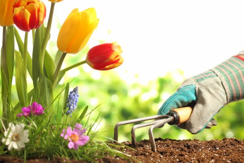 The image shows a gardener's hand wearing a gardening glove, using a hand cultivator to loosen dark brown soil in a garden bed. Surrounding the bed are vibrant spring flowers, including yellow and red tulips, purple forget-me-nots, white daisies, and pink blossoms, creating a colourful floral border. In the background, there is a lush, green, leafy hedge or shrub, indicating a well-maintained outdoor garden space. The scene is set outdoors on a bright, sunny day with natural daylight illuminating the garden. The image captures a moment of garden planting or soil preparation, highlighting the importance of healthy soil and planting beds in gardening and landscaping projects, as promoted by Landscapers Chelsea in the context of sustainable outdoor care in the Chelsea area, near postcode SW3.