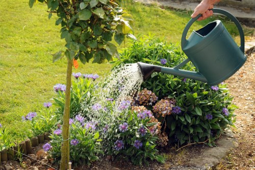 In a tidy backyard garden, a person is watering a flower bed filled with purple and brown flowering plants, bordered by a small wooden edge. The garden features a lush, green lawn in the foreground, with a young tree on the left that has fresh leaves. Behind the flower bed, there are larger shrubs and a hedge that runs along the boundary, providing privacy and greenery. The soil in the flower bed appears well-maintained, with some patches of mulch or soil visible. The garden is lit by natural daylight, suggesting clear weather, and the overall scene reflects a well-kept outdoor space suitable for gardening and landscaping services in Chelsea, with attention to plant health and garden structure.