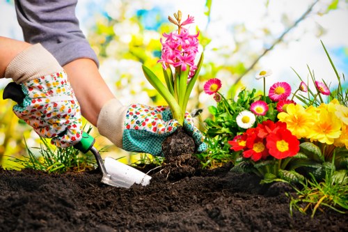 A close-up view of a person planting a pink hyacinth bulb into dark, well-tilled soil within a garden bed. The individual is wearing colorful gardening gloves and appears to be using a small trowel to carefully position the bulb. To the right, a vibrant assortment of flowering plants with red, yellow, white, and pink blossoms add bright natural colour to the scene, suggesting a well-maintained flower bed in a landscaped outdoor space. The background shows blurred greenery and blue sky, indicating a sunny day and a healthy garden environment. The setting appears to be a residential garden or front yard, with neatly arranged planting areas and a lush, inviting atmosphere. This scene exemplifies professional gardening and planting services, such as those offered by Landscapers Chelsea, ideal for creating elegant outdoor spaces in Chelsea or nearby areas, with natural textures of soil, foliage, and vibrant flowers highlighted in natural daylight.