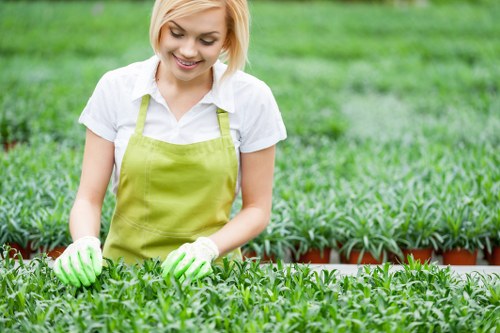 Seasonal hedge maintenance in Chelsea