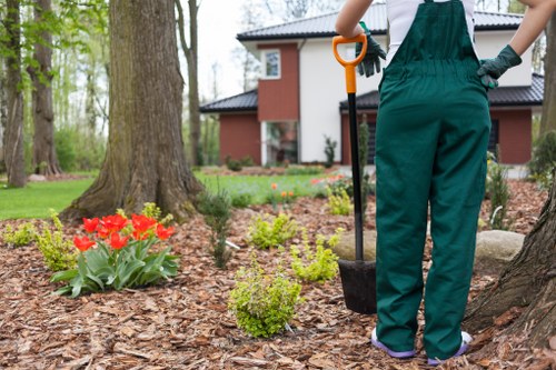 A person dressed in green gardening overalls standing in a landscaped garden at a residential property in Chelsea, London, with a small shrub and a bed of vibrant red tulips in the foreground, and a large tree with textured bark nearby. The garden features a well-maintained lawn, garden beds with mulch and various small plants, and a neatly pruned hedge line. In the background, a modern two-storey house with white and brick exterior walls, large windows, and a sloped roof is visible, surrounded by tall trees and greenery. The scene appears to be on a clear, bright day with natural sunlight illuminating the outdoor space, highlighting the lush green lawn, colorful flowers, and the garden’s overall tidy and landscaped appearance. Landscapers Chelsea often provide expert garden design and maintenance services to enhance outdoor spaces like this.