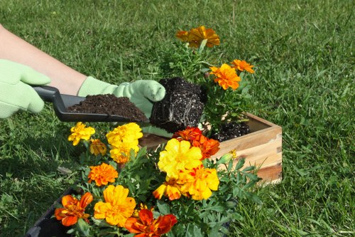 Variety of hedge trimming tools for different tasks