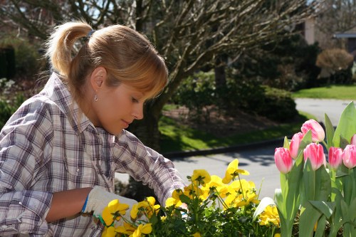 A woman with blonde hair tied back in a ponytail, wearing a plaid shirt and gardening gloves, is tending to vibrant yellow and pink tulips and other flowering plants in a well-maintained front garden. The garden features a lush green lawn in the foreground, bordered by flower beds with colorful blooms, including pink tulips and yellow pansies. Behind her, neatly trimmed bushes and trees provide a natural backdrop, with a paved pathway visible in the distance. The outdoor environment is sunny with clear weather, casting natural light over the scene, and the setting suggests a tranquil residential area in Chelsea, suitable for professional gardening and landscaping services. Landscapers Chelsea often undertake such outdoor maintenance to enhance curb appeal and support sustainable gardening practices in local gardens.