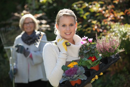 A young woman in a cream sweater and gardening gloves is standing in a well-maintained backyard garden, holding a black plastic tray filled with a variety of colorful flowering plants, including pink, yellow, and purple blooms, in front of her. Behind her, an older woman with glasses, a white jacket, and a scarf is slightly out of focus, holding a garden hand rake, indicating outdoor gardening activity. The garden features lush greenery, including neatly trimmed shrubs and trees with vibrant autumn foliage, and a paved pathway. Bright sunlight illuminates the scene, highlighting the healthy grass lawn in the foreground and casting soft shadows across the garden. The environment appears serene and well-cared-for, reflecting professional gardening services that enhance outdoor spaces in Chelsea and nearby areas. This image captures the essence of gardening and lawn care, emphasizing the positive connection between gardening projects and expert landscaping assistance from companies like Landscapers Chelsea, dedicated to maintaining beautiful outdoor environments in the local community.